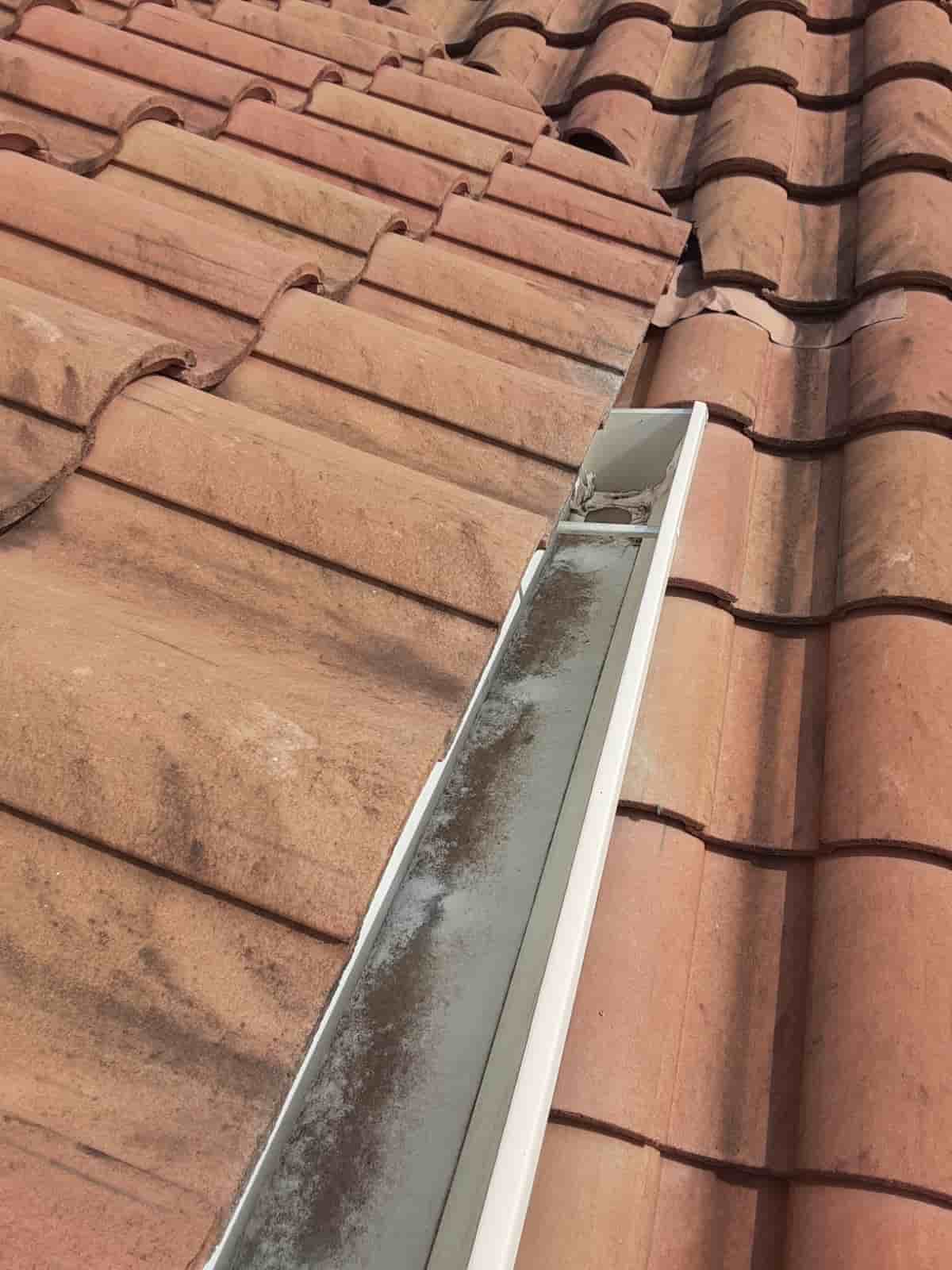 the roof and gutter guys