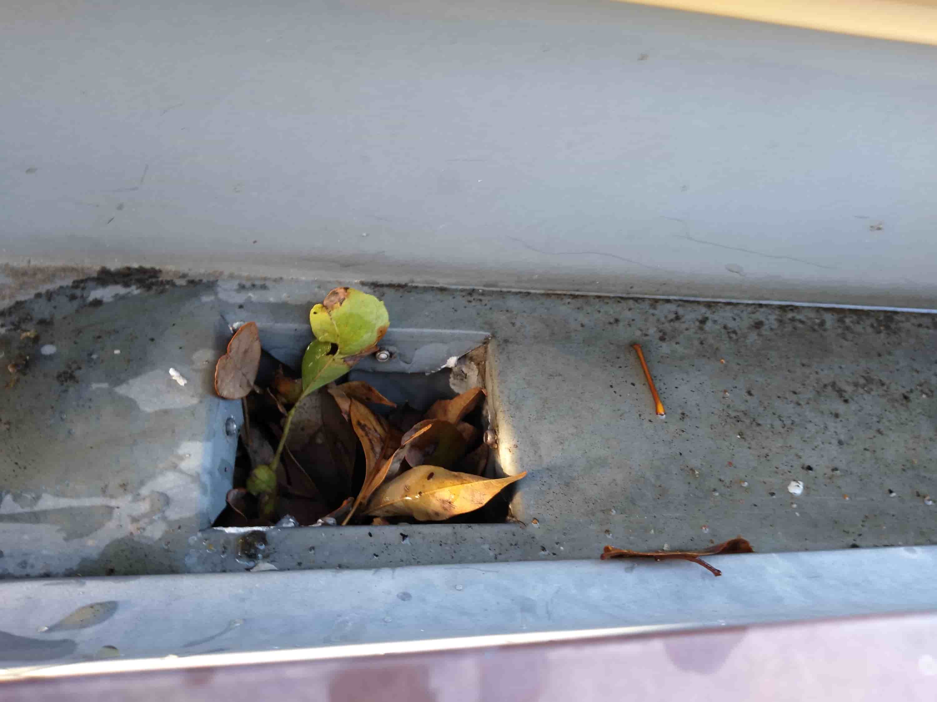 when to clean gutter