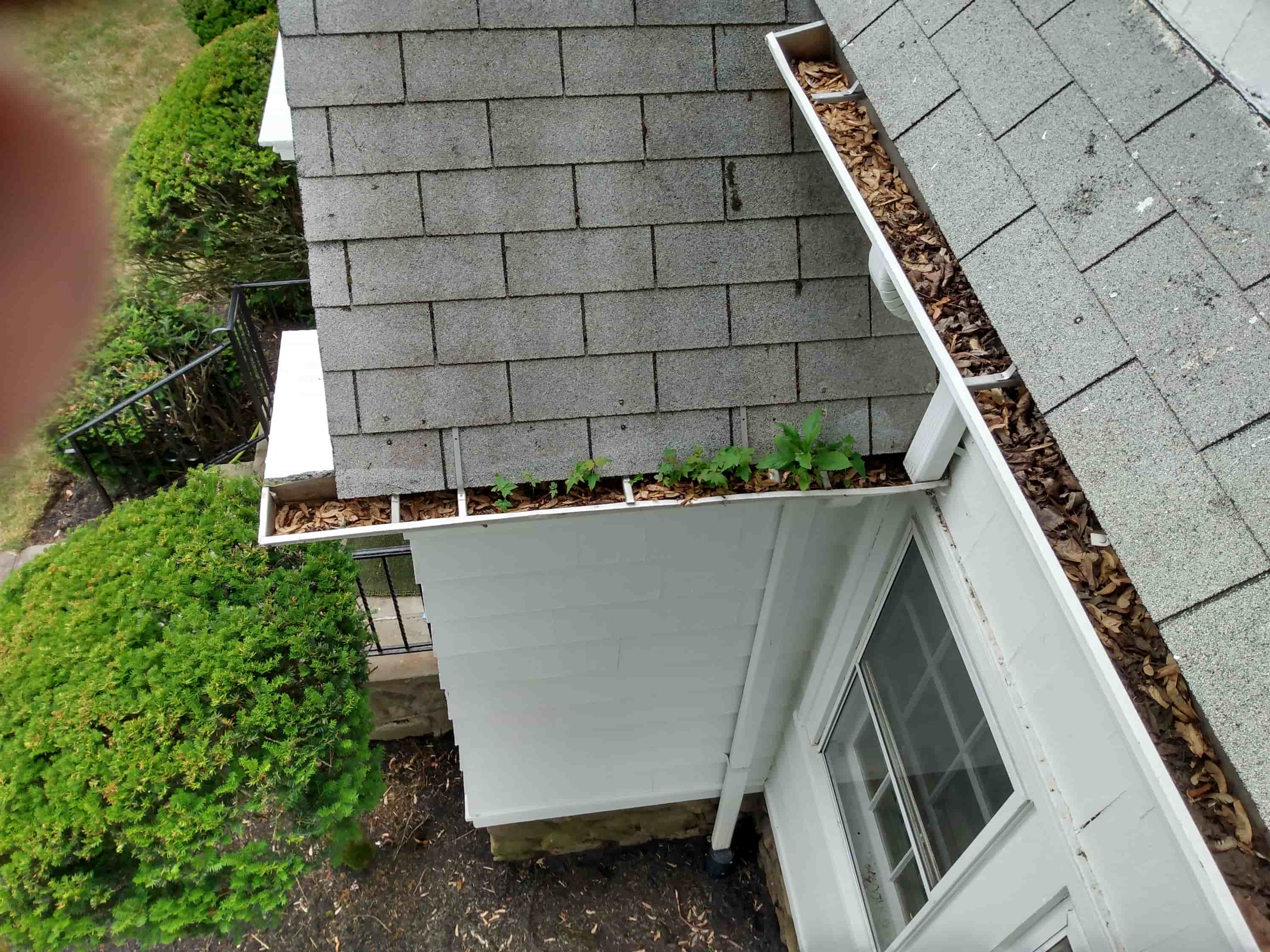 how to clean gutters with ladder