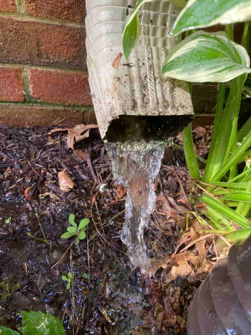clean gutter cost