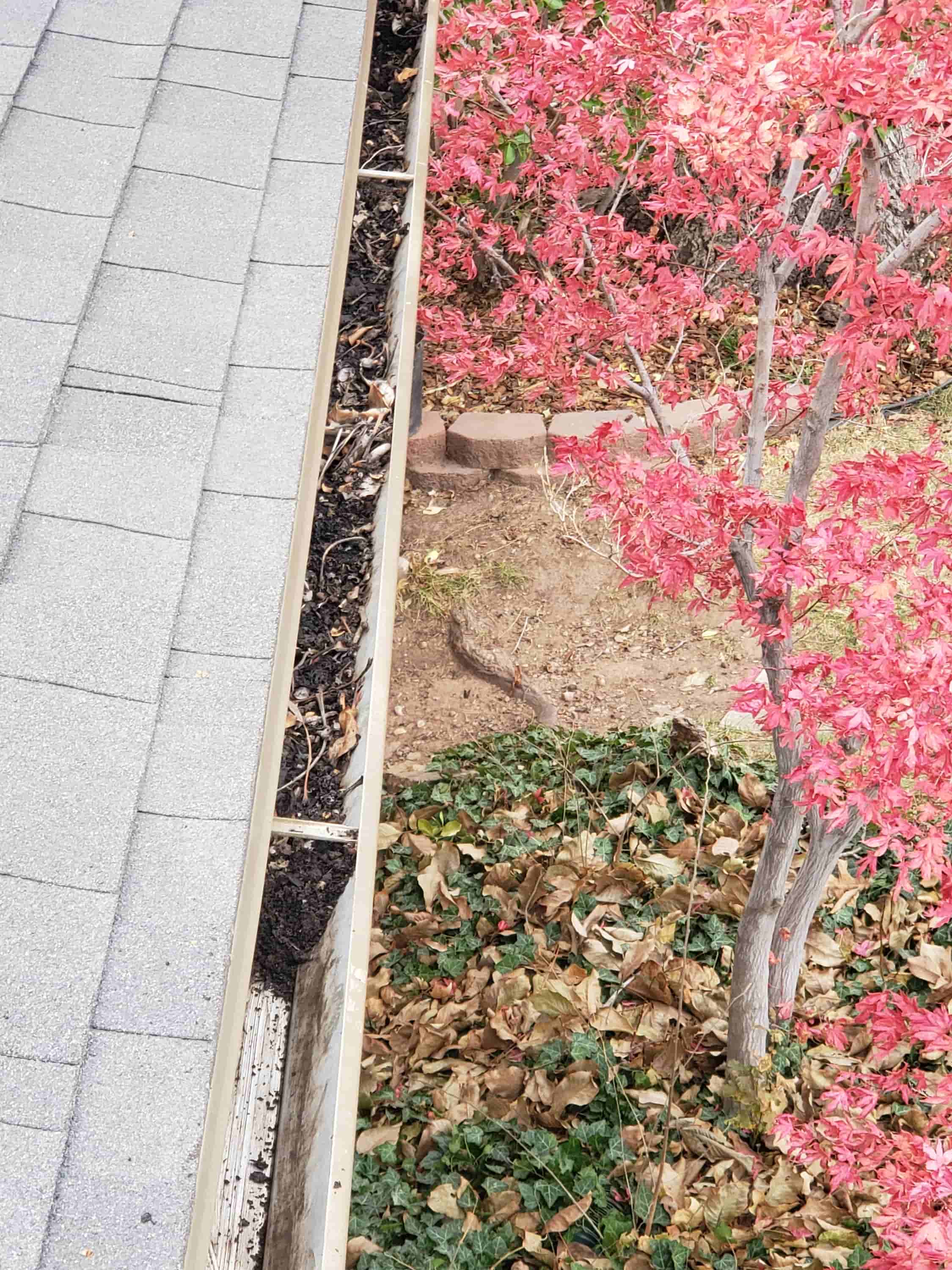 gutter cleaning near me prices
