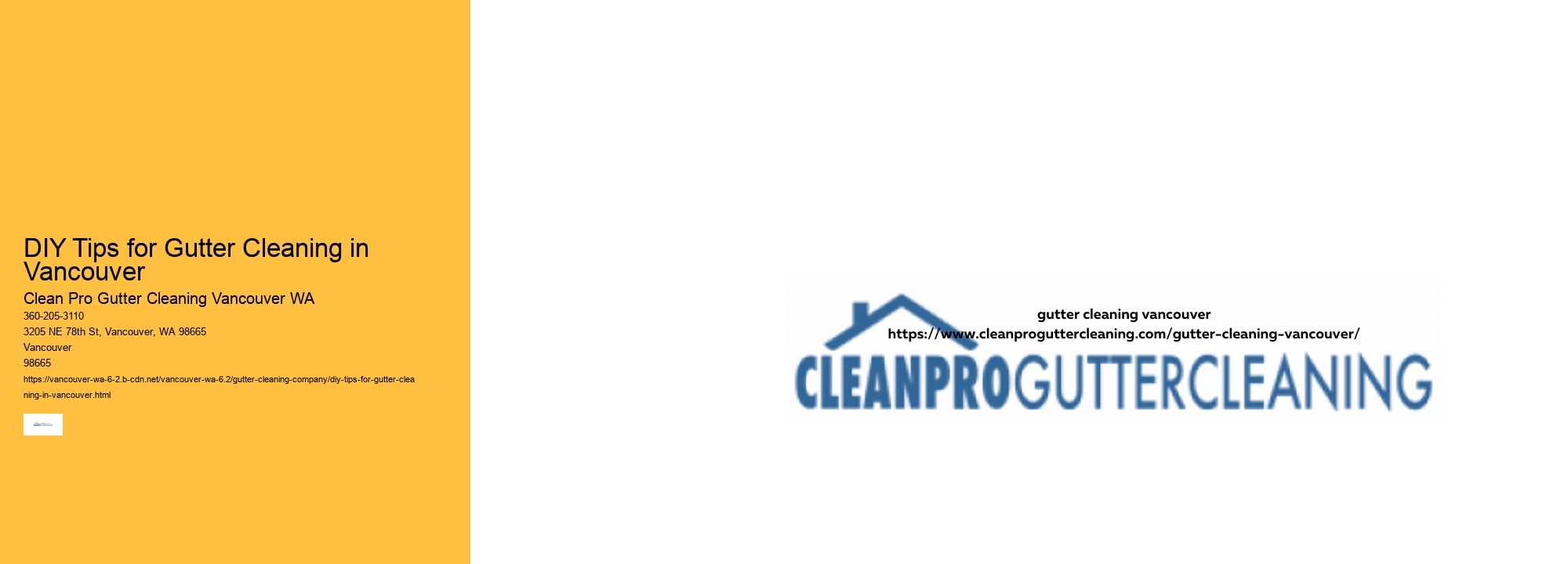 DIY Tips for Gutter Cleaning in Vancouver 