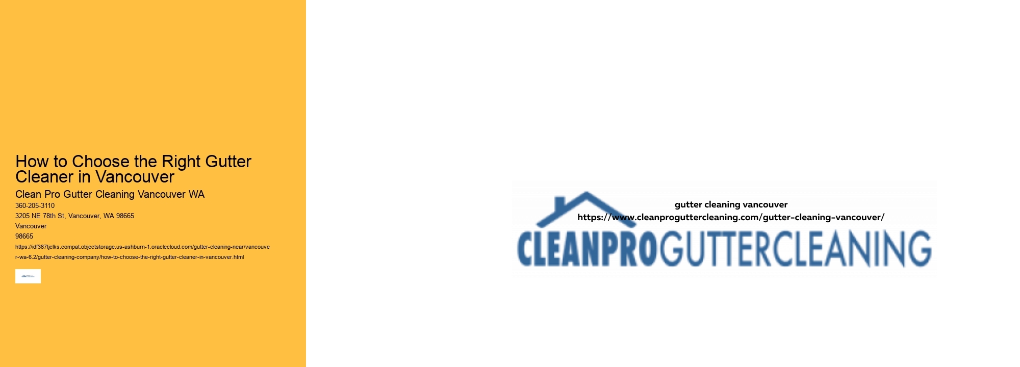 How to Choose the Right Gutter Cleaner in Vancouver 