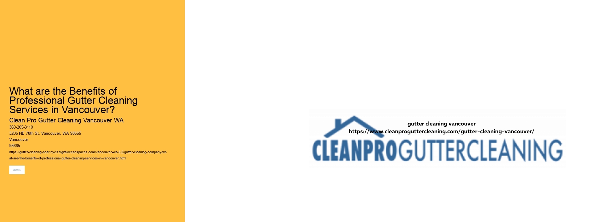 What are the Benefits of Professional Gutter Cleaning Services in Vancouver? 