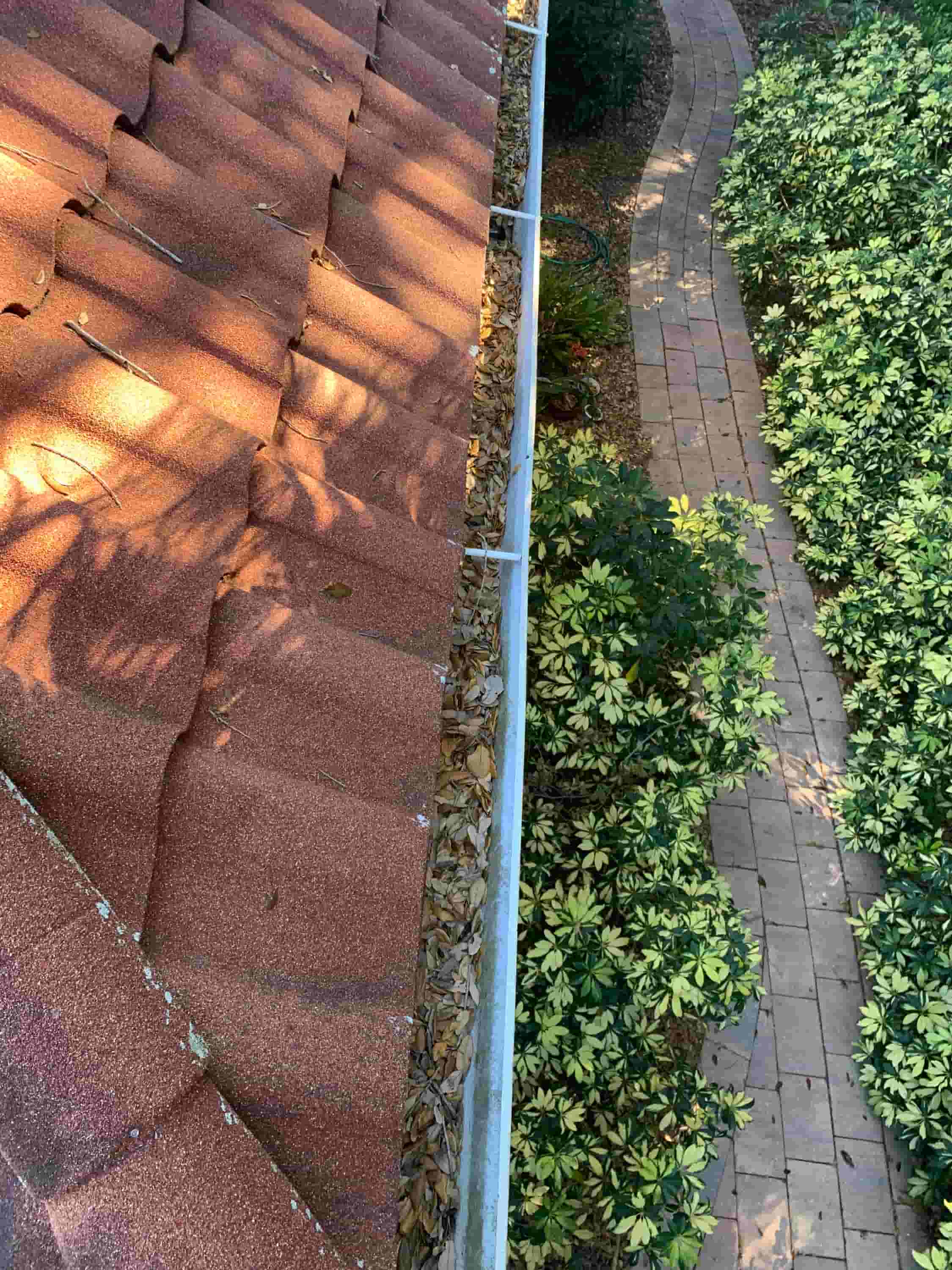 ladder gutter
