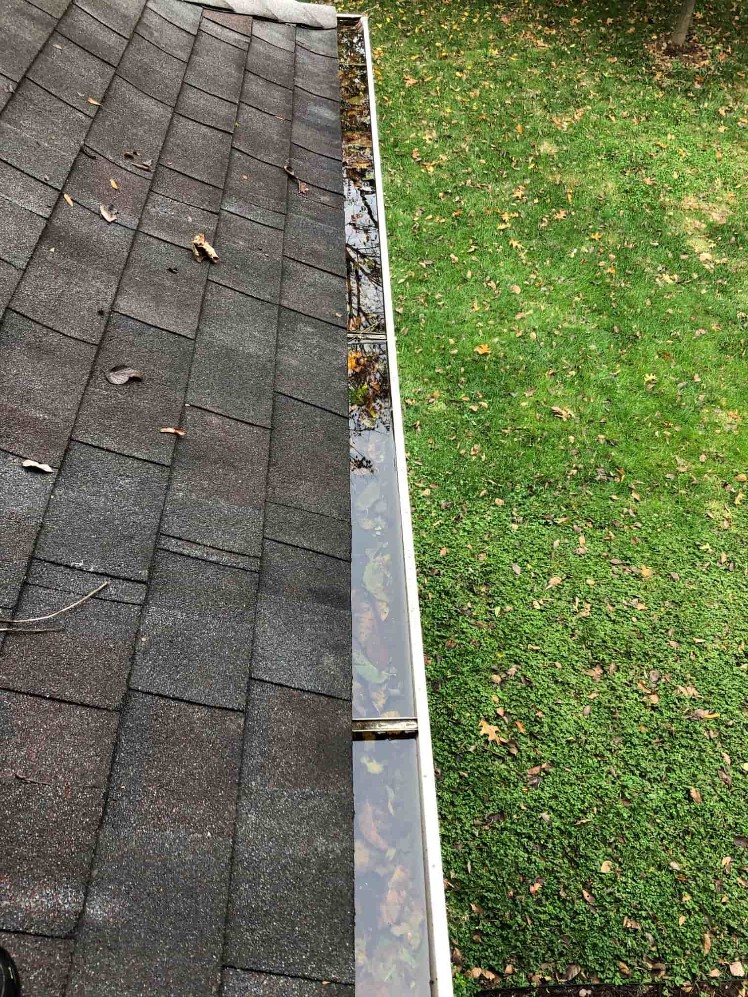 gutter cleaning from ground