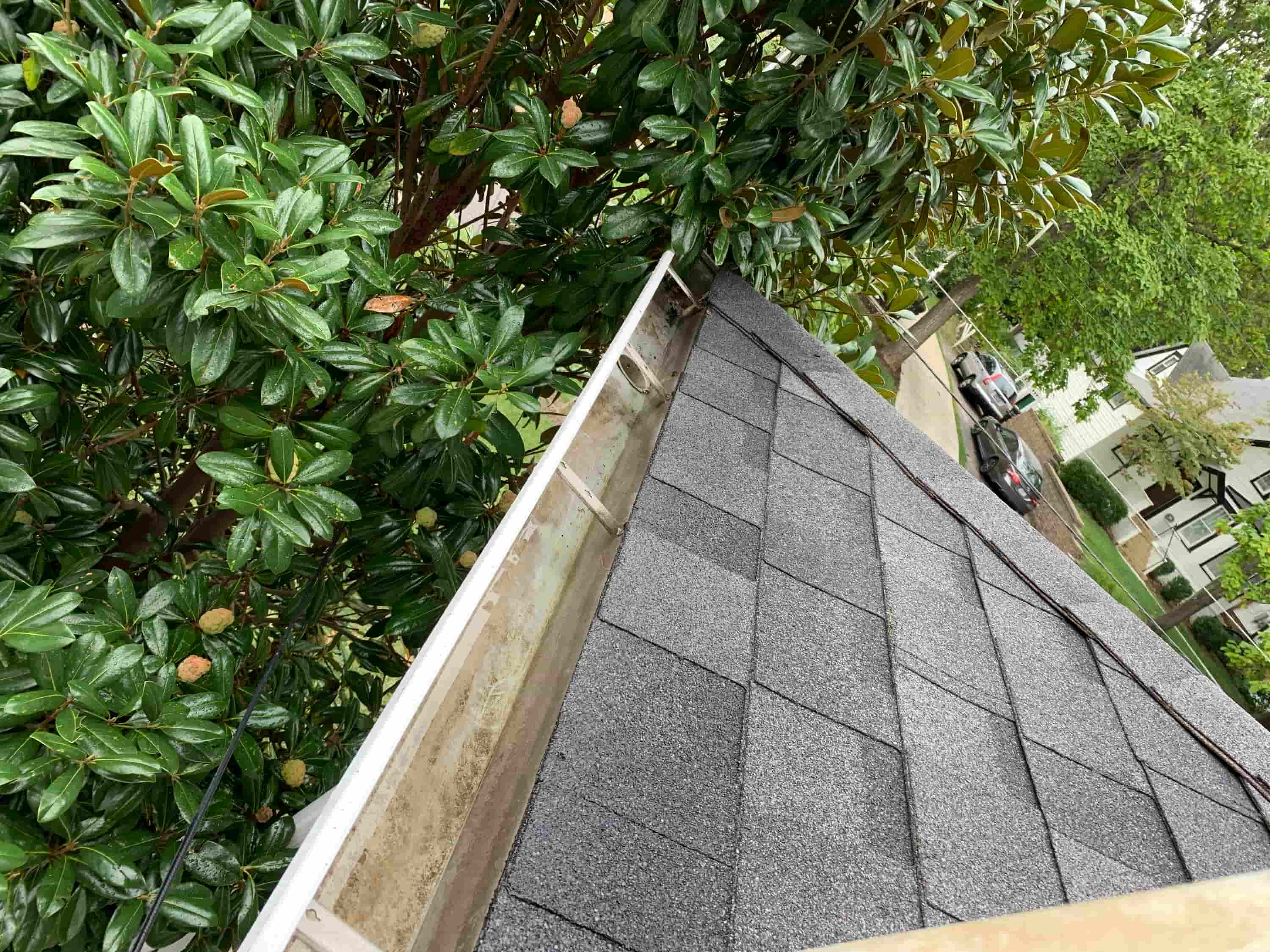 gutter cleaning tips and tricks