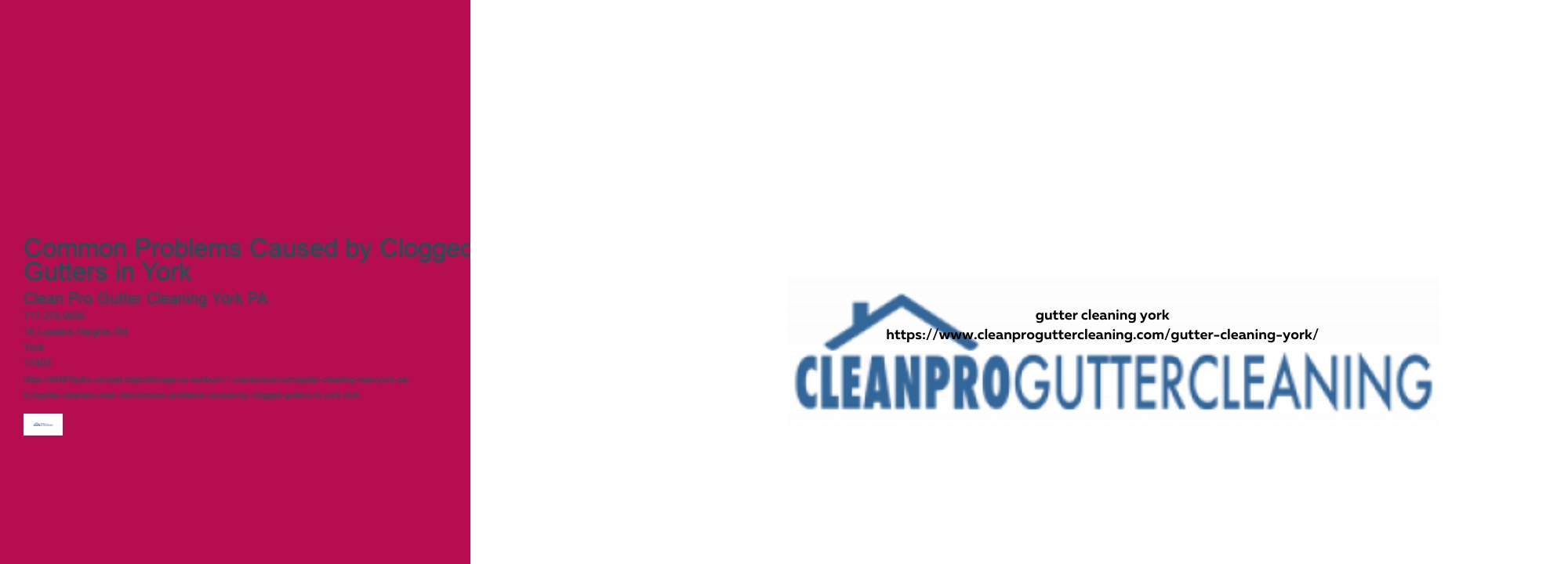 Common Problems Caused by Clogged Gutters in York 