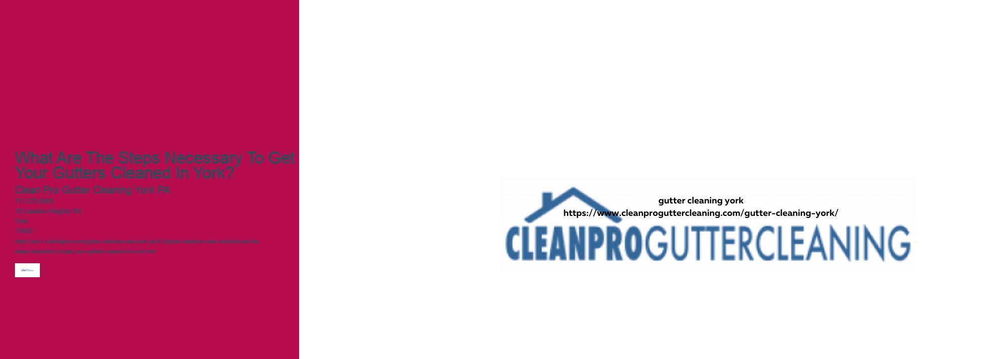What Are The Steps Necessary To Get Your Gutters Cleaned In York?