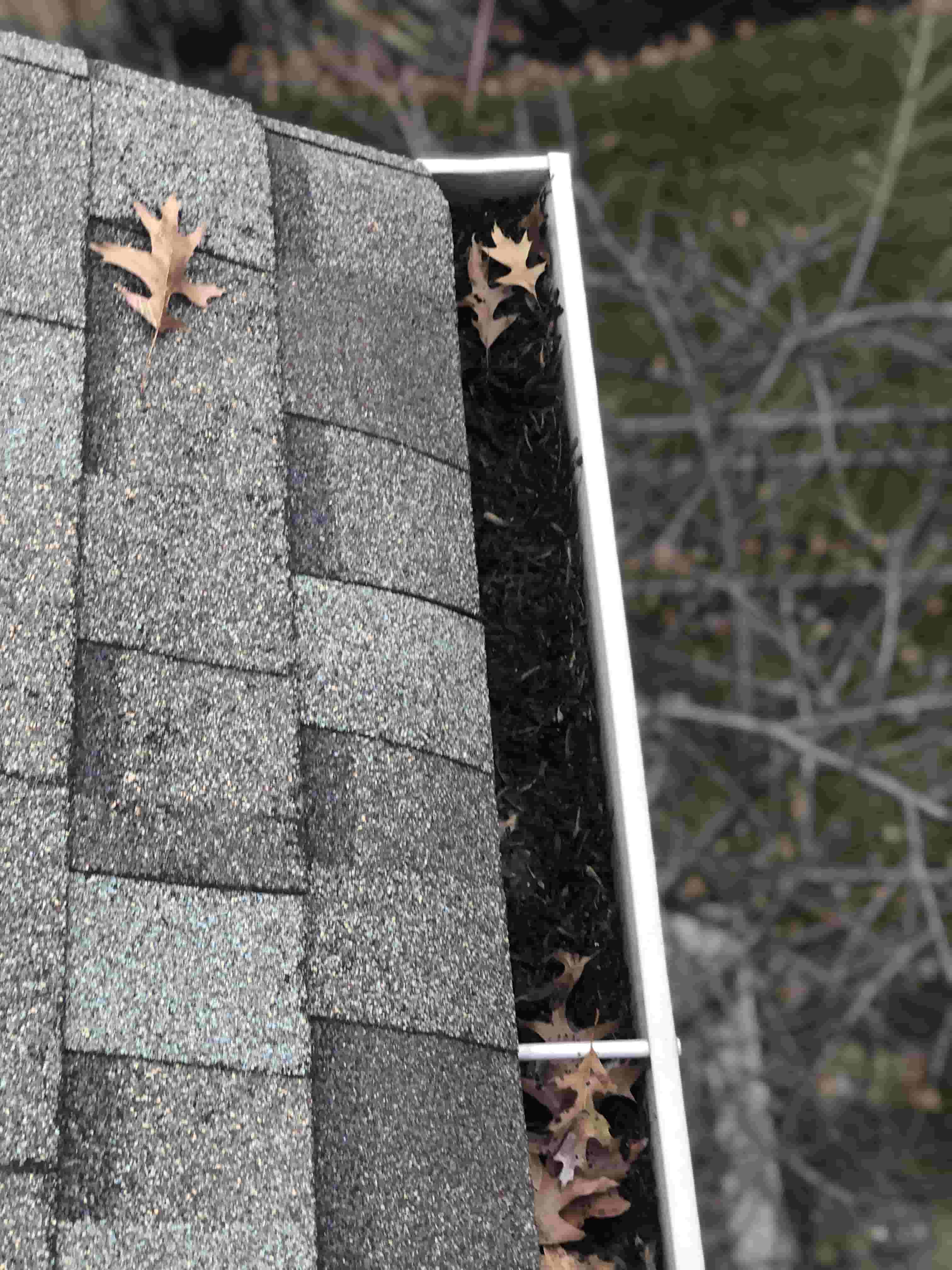 best leaf blower with gutter attachment