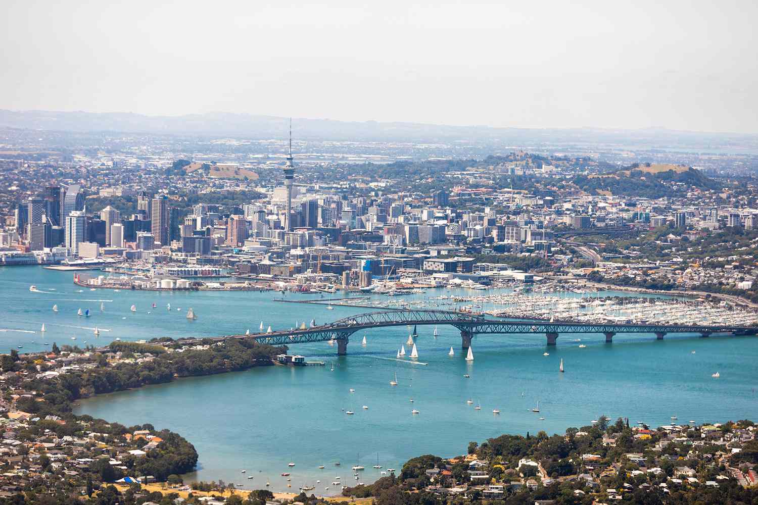 Gym Cleaning Service in Auckland NZ