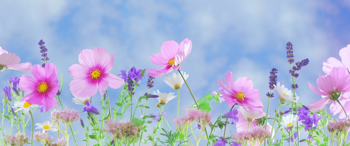 6 Decor Ideas that will Brighten Your Home for Spring