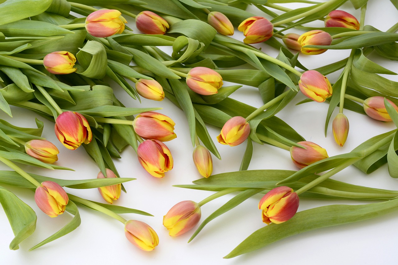 6 Gifts That Will Make Mother's Day Meaningful