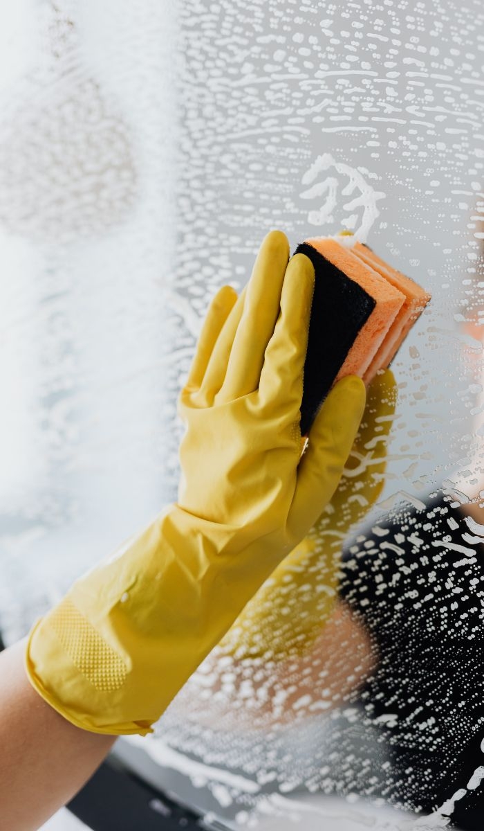 What types of educational institutions does Clean Group service?