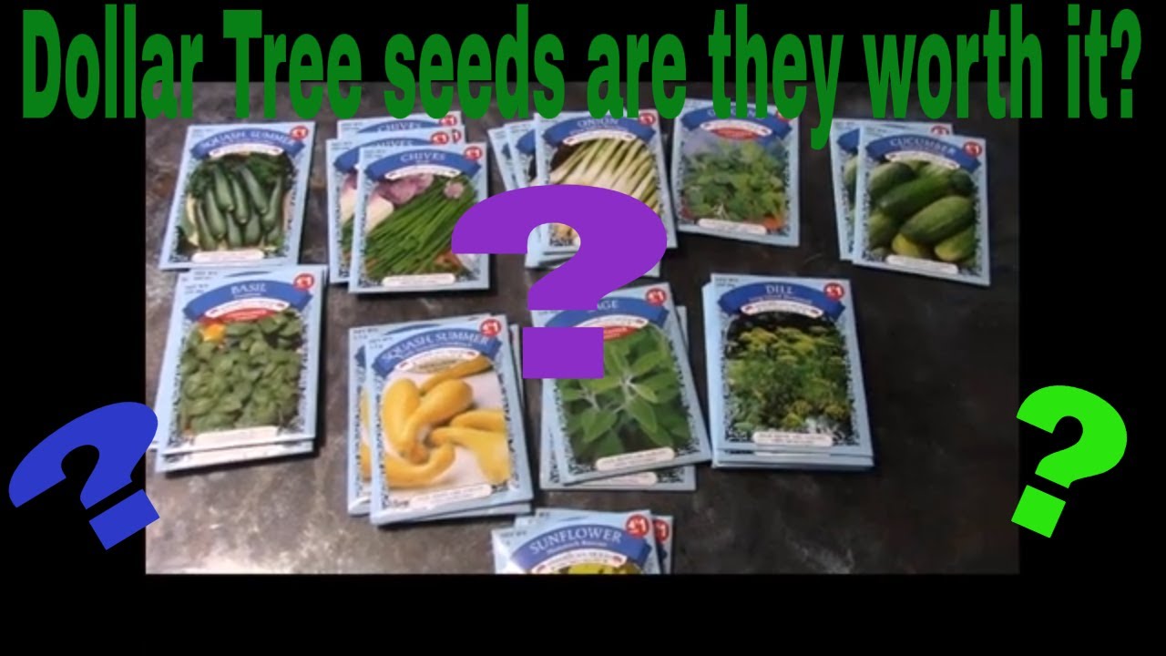 can vegetable seeds be organic
