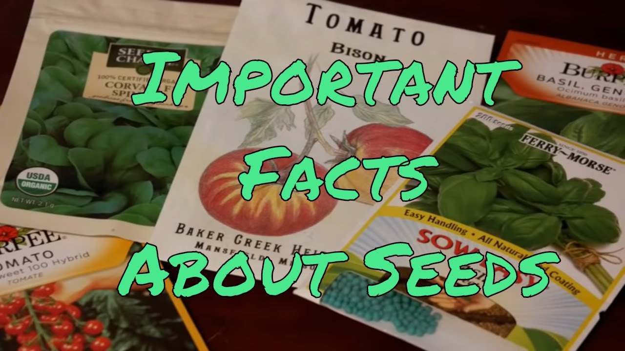 how to buy organic seeds