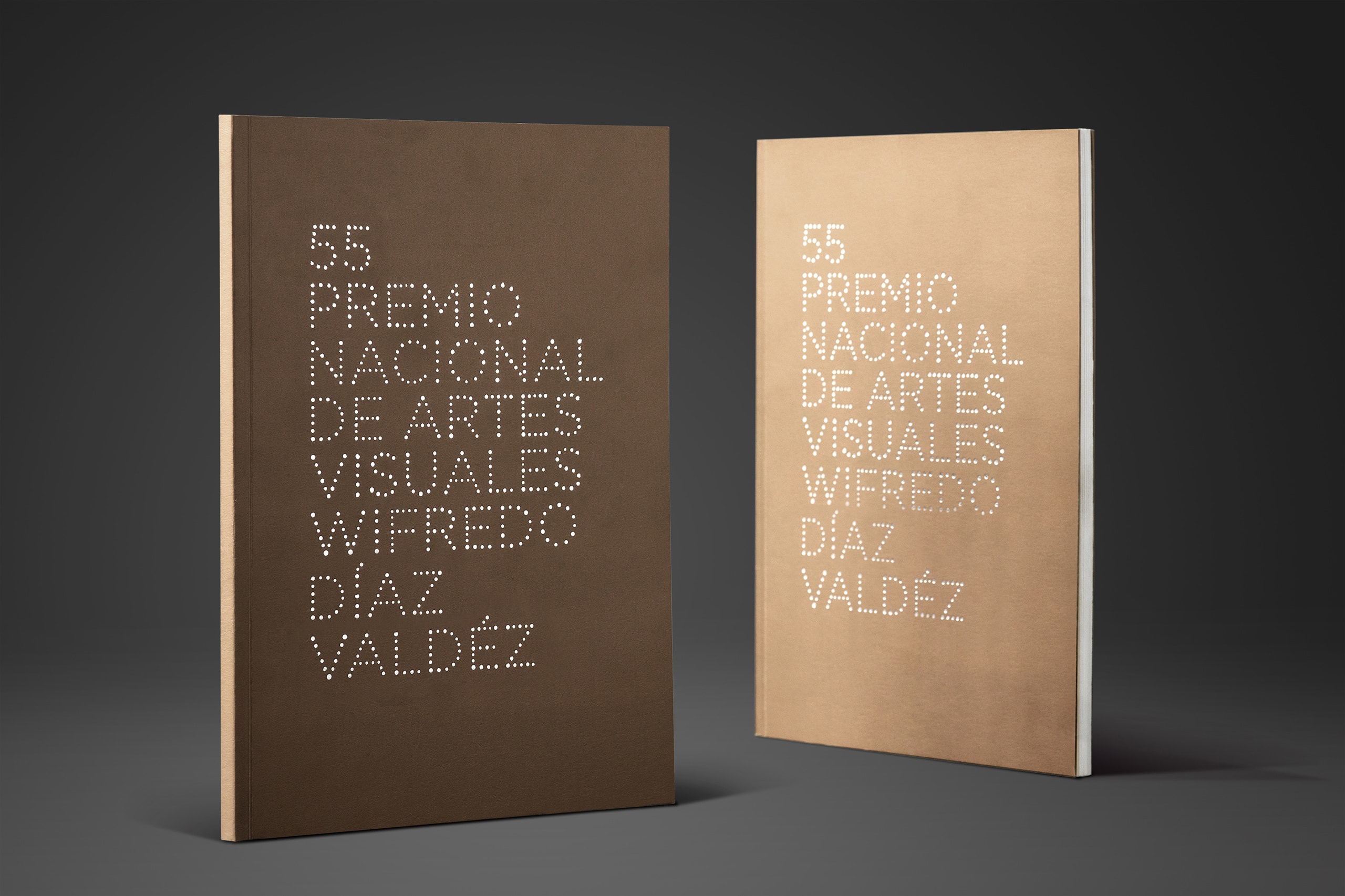 55 Premio Nacional de Artes Visuales