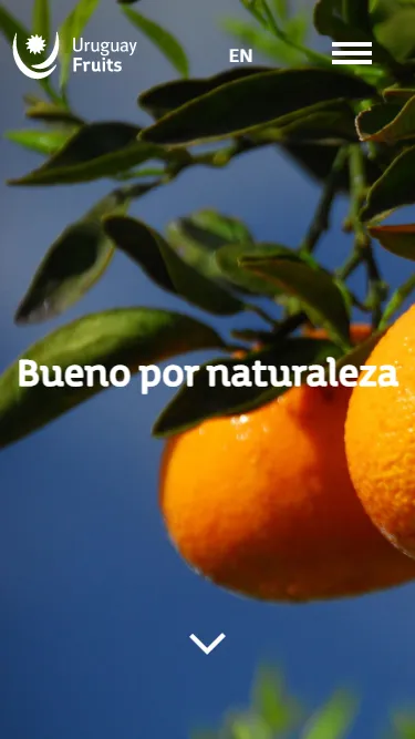 Uruguay Fruits Desktop