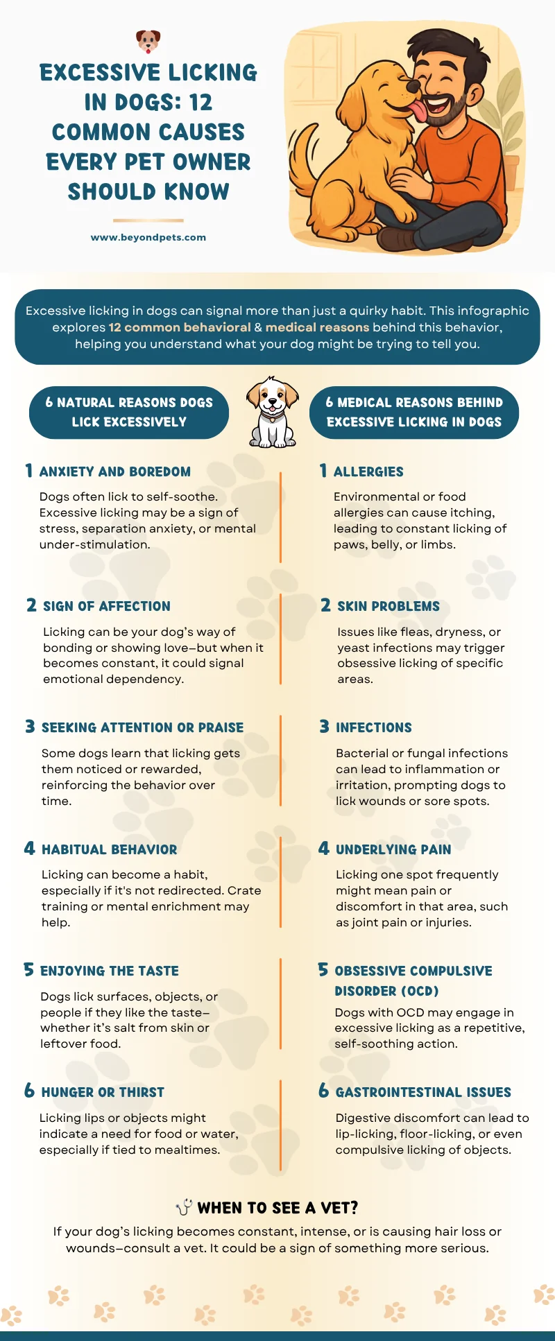 Why Does my Dog Lick So Much? 2 Excessive Licking in Dogs: 12 Common Causes Every Pet Owner Should Know