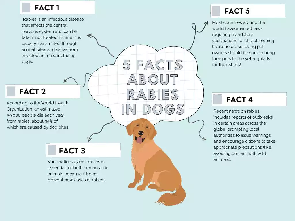 The Recent News on Rabies 2 facts about rabies in dogs