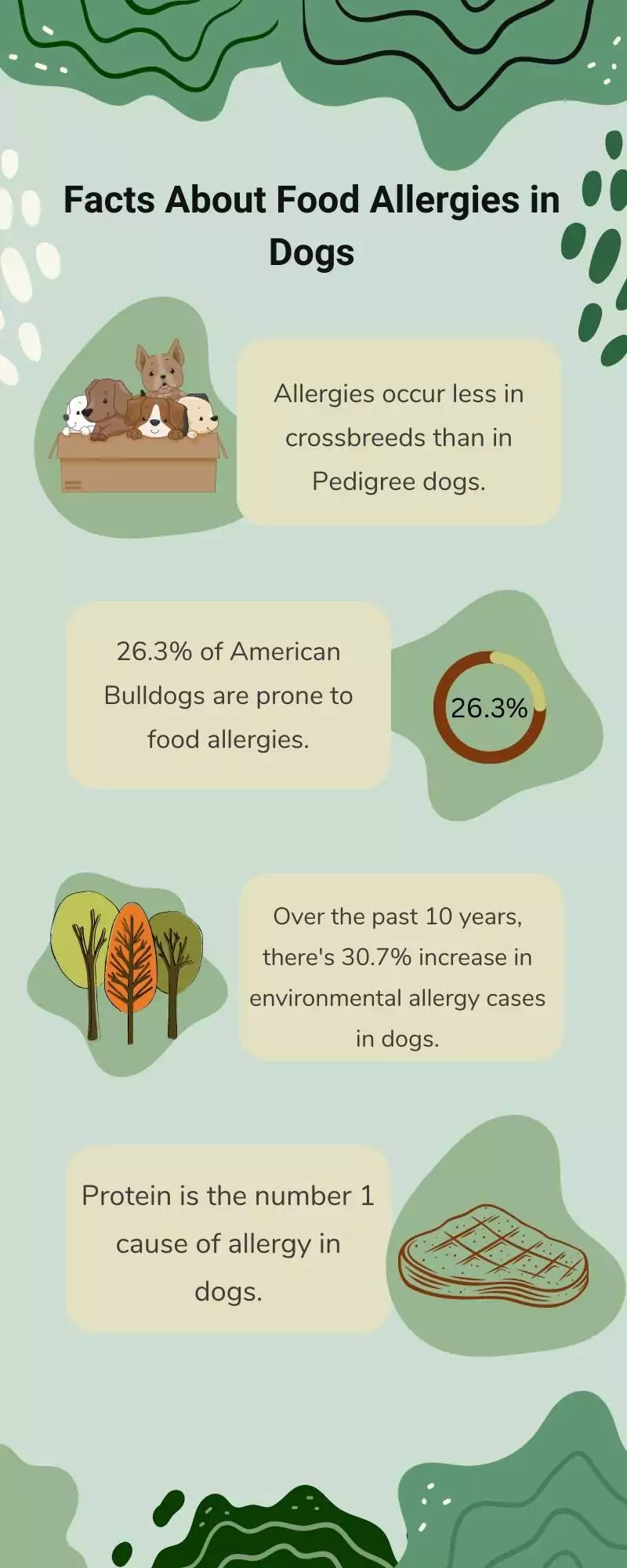 What are Food Allergies in Dogs? 2 facts about food allergies in dogs