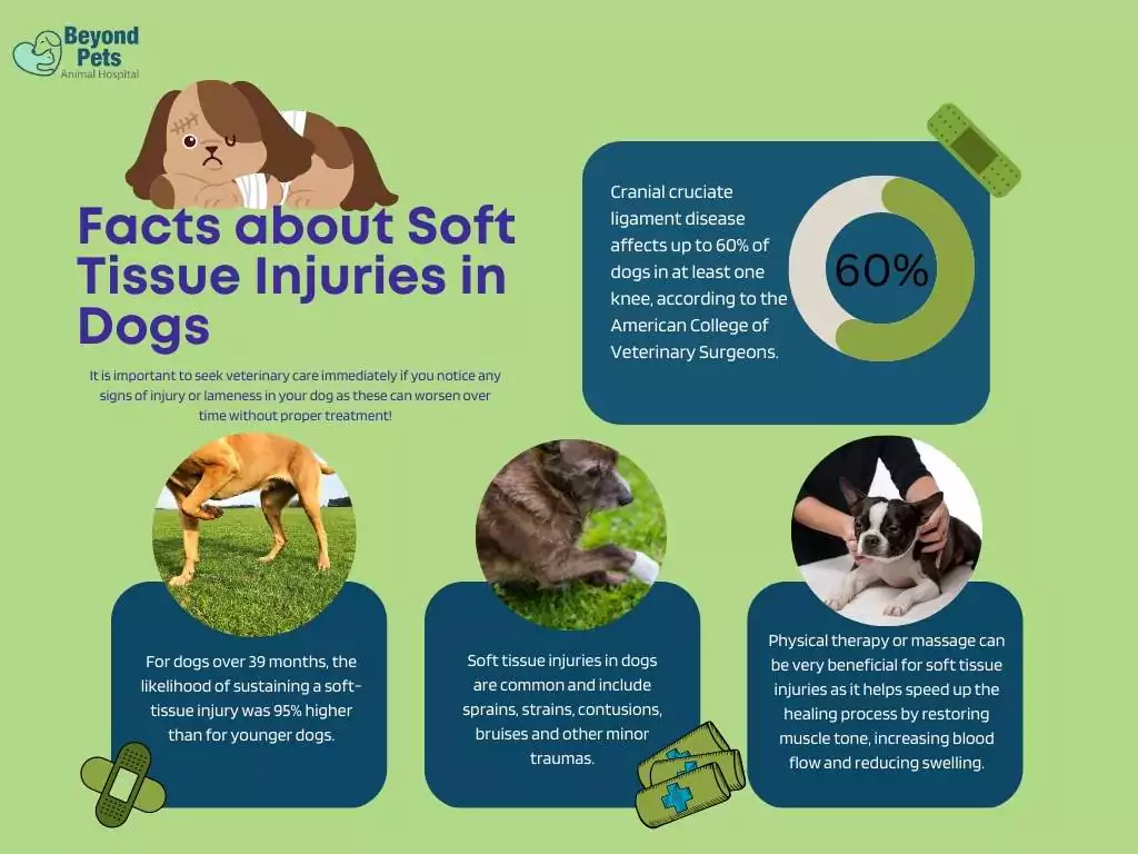 soft tissue injuries in dogs