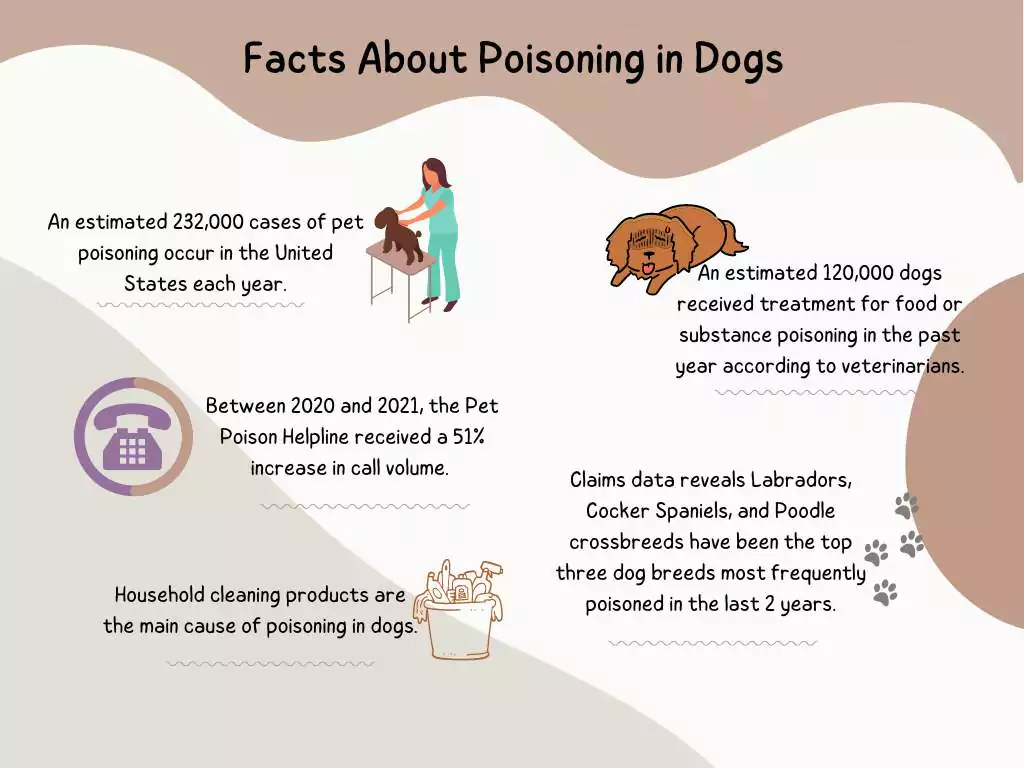 What Are Common Dog Poisons? 1 poisoning in dogs