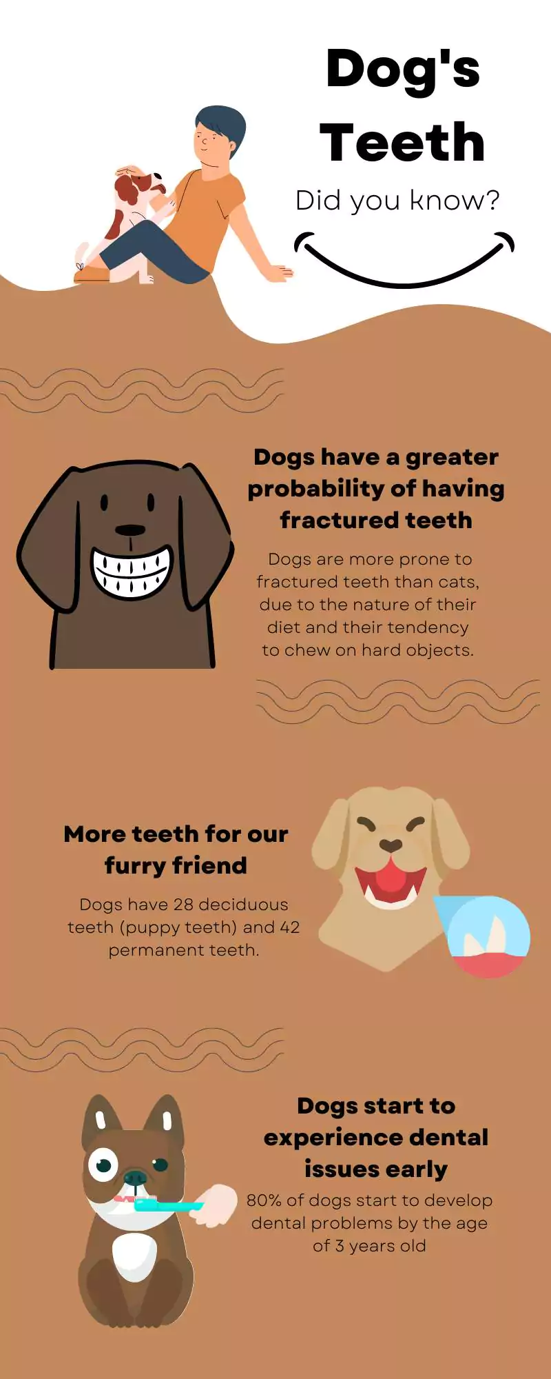 Fractured Canine Teeth: Causes, Symptoms, and Treatment Explained 2 fractured teeth in dogs
