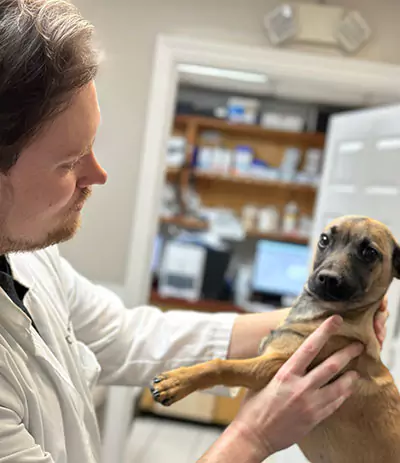 A man is holding a small dog in a veterinary office.