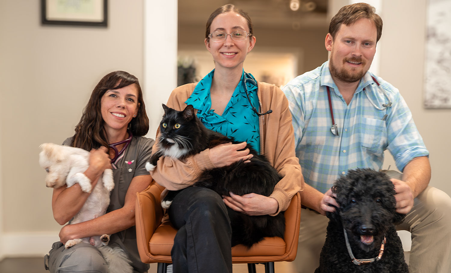 Three veterinarians are seated inside Beyond Pets Animal Hospital, each holding a pet: a small white dog, a large black cat, and a black standard poodle. They are all smiling.