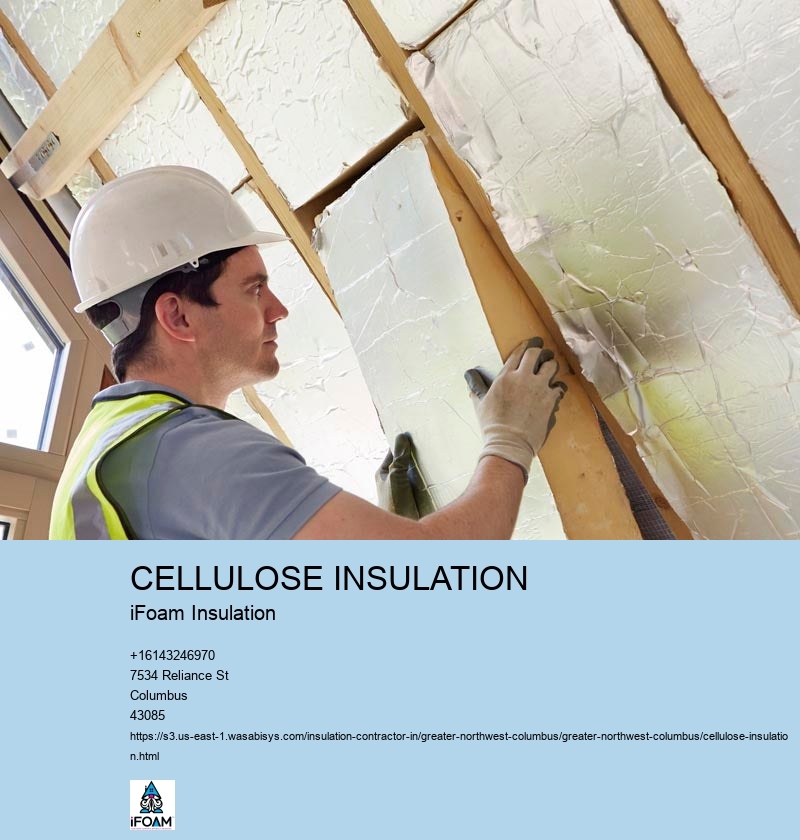 CELLULOSE INSULATION