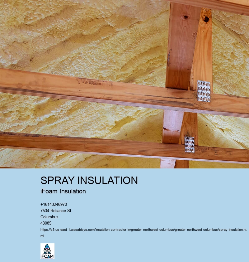 SPRAY INSULATION