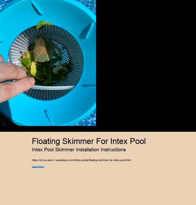 Floating Skimmer For Intex Pool