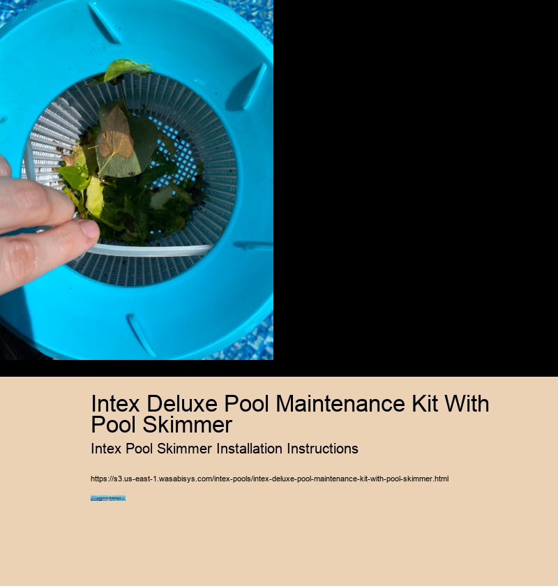 Intex Deluxe Pool Maintenance Kit With Pool Skimmer