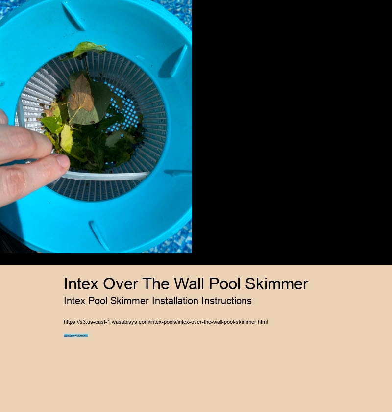 Intex Over The Wall Pool Skimmer