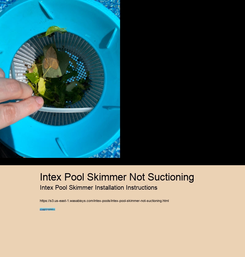 Intex Pool Skimmer Not Suctioning