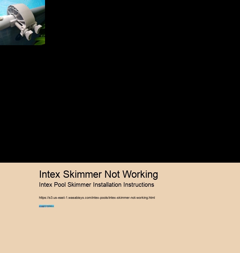 Intex Skimmer Not Working