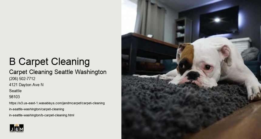 B Carpet Cleaning