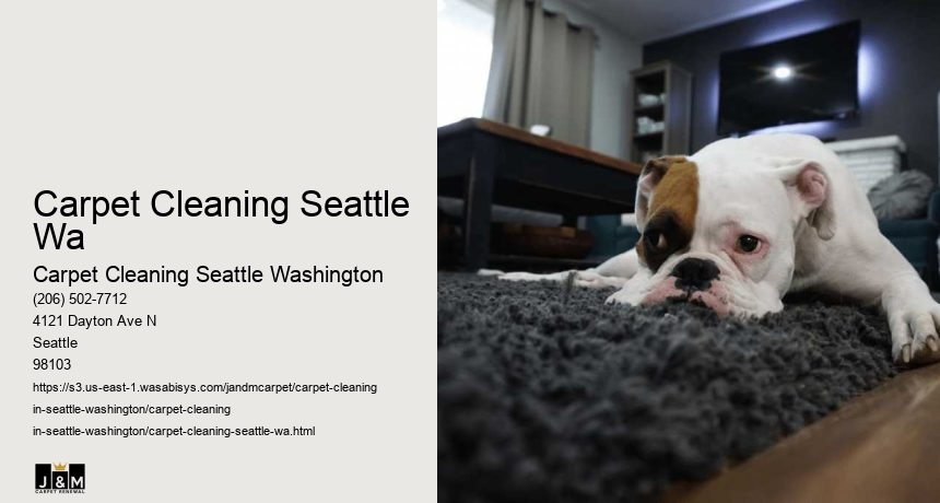 Carpet Cleaning Seattle Wa
