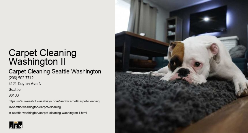 Carpet Cleaning Washington Il