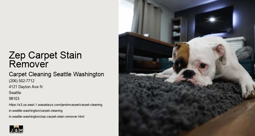 Zep Carpet Stain Remover