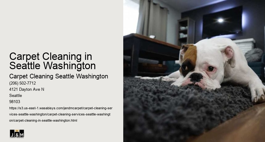Carpet Cleaning in Seattle Washington