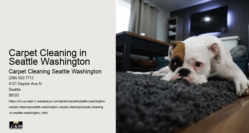 Carpet Cleaning in Seattle Washington 