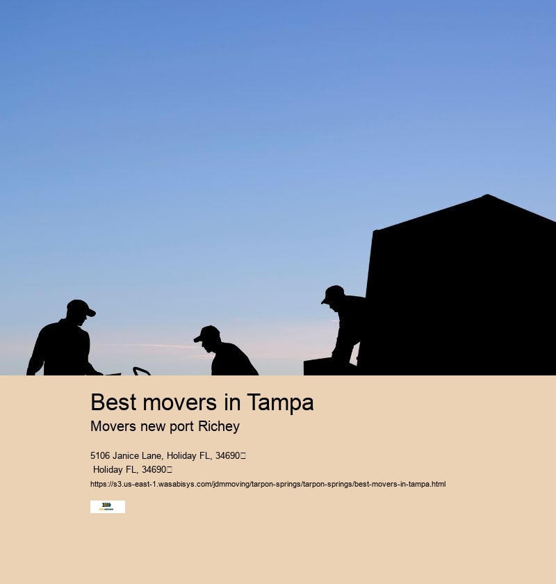 best movers in Tampa