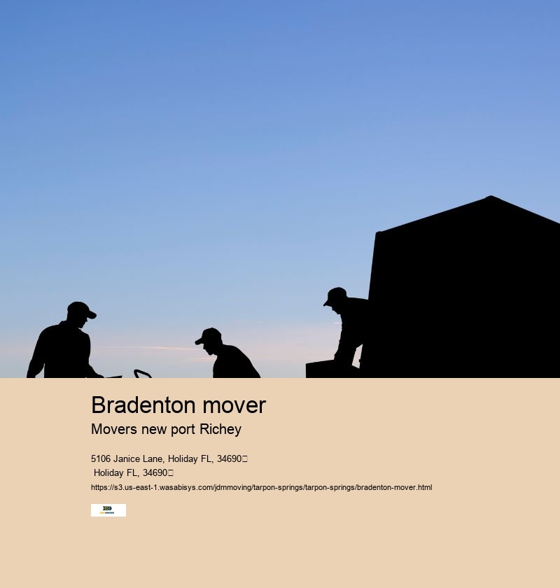 Bradenton mover