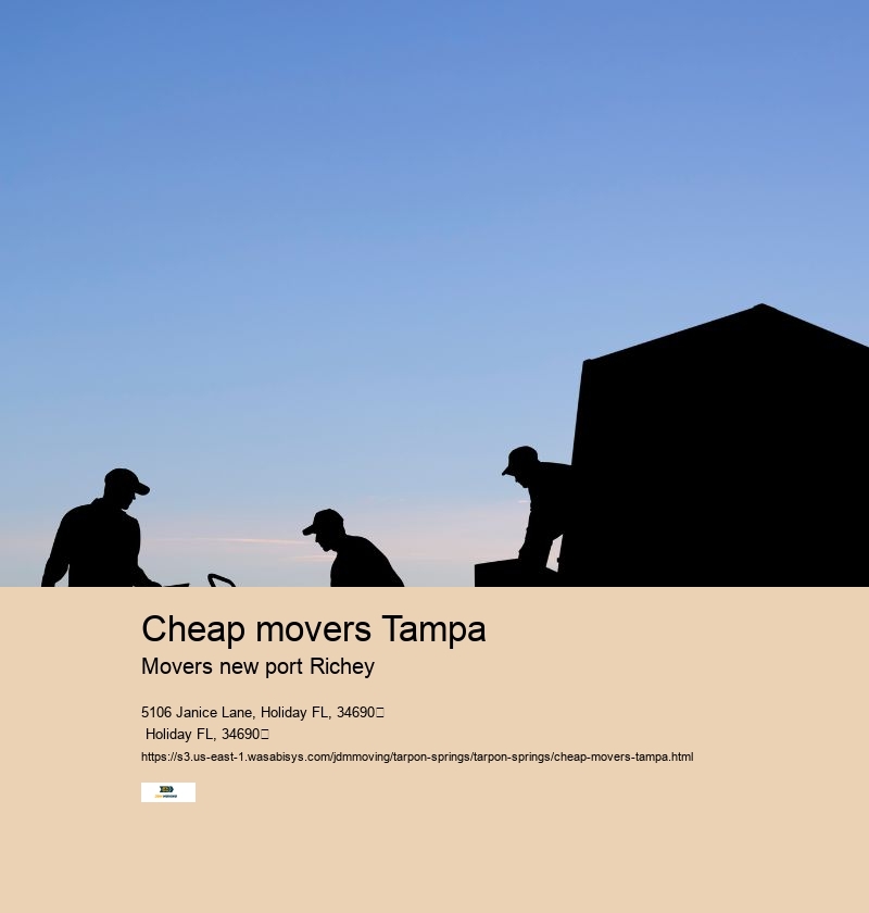 cheap movers Tampa