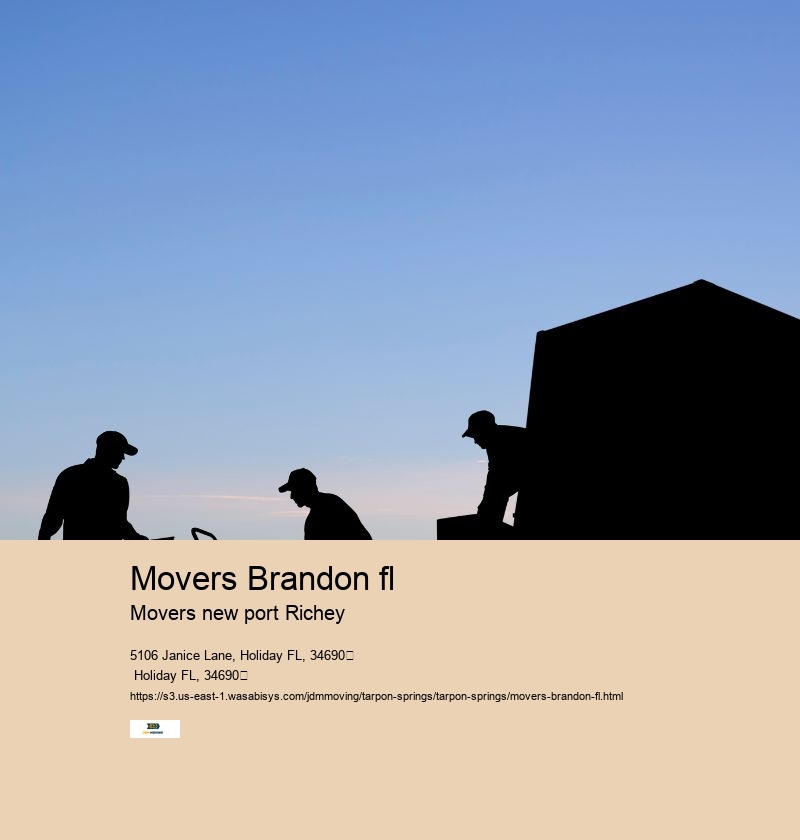 movers Brandon fl