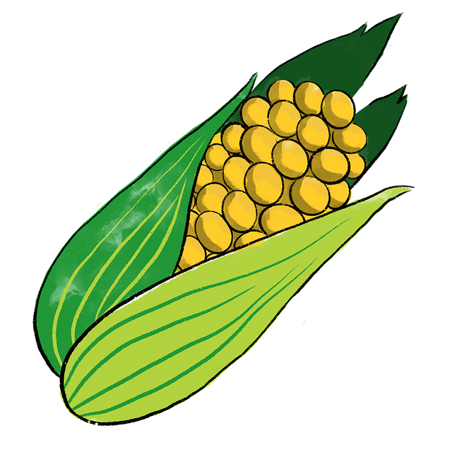Dry Corn Milling