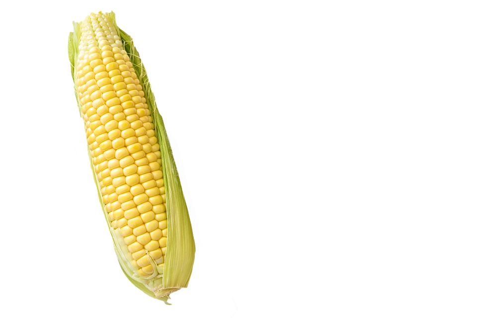 Corn Cob products J-Six Enterprises