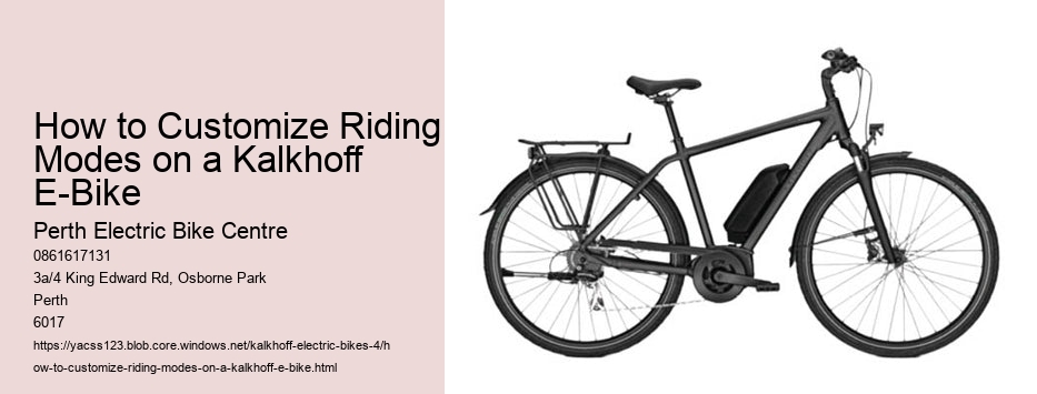 How to Customize Riding Modes on a Kalkhoff E-Bike   